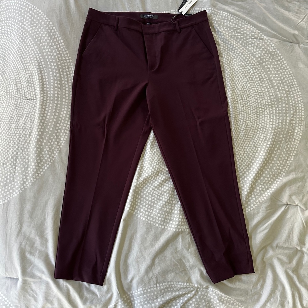 Liverpool Women's Straight Leg Pants in Burgundy
